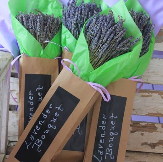 Lavender Bouquet