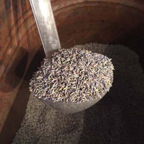 Lavender Buds