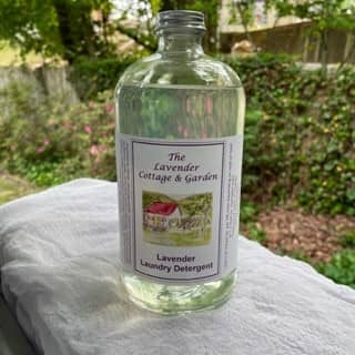 Lavender Laundry Detergent