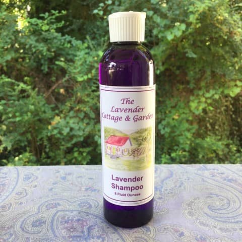 Lavender Shampoo