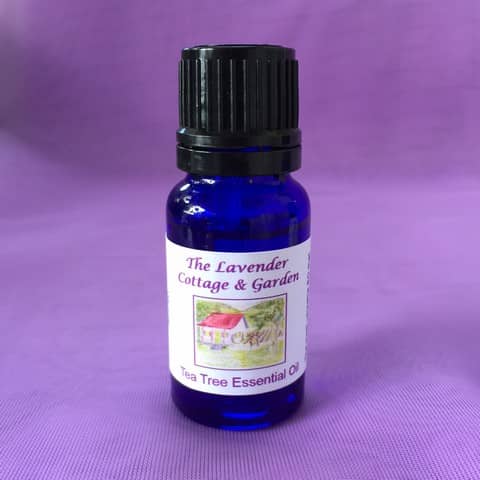 Tea Tree Essential Oil