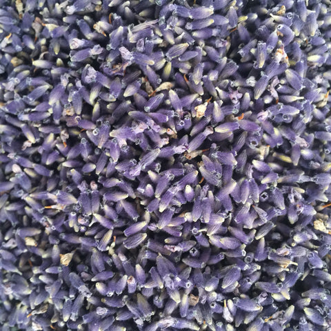 Culinary lavender in bulk.
