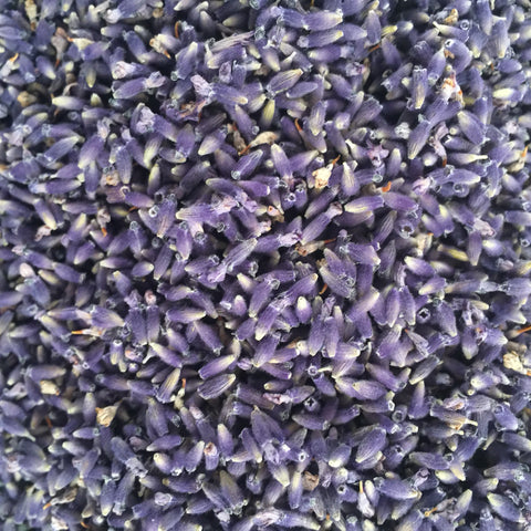 Culinary Lavender - Bulk