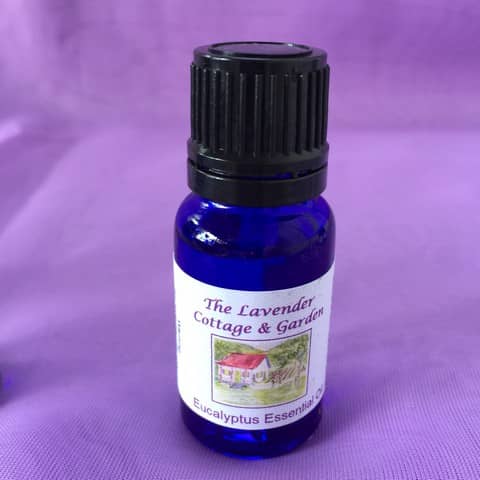 Eucalyptus Essential Oil