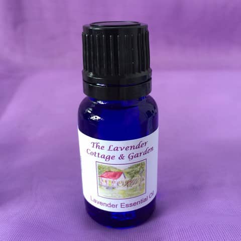 Lavender Essential Oil