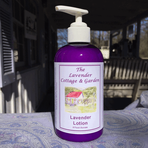 Lavender Lotion